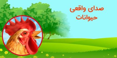 دانلود برنامه آقای قوقولی
